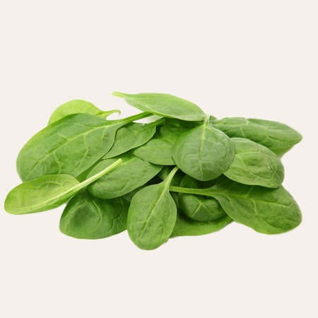 Baby-Spinach_product