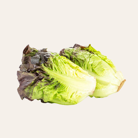 Little-gem-lettuce-product