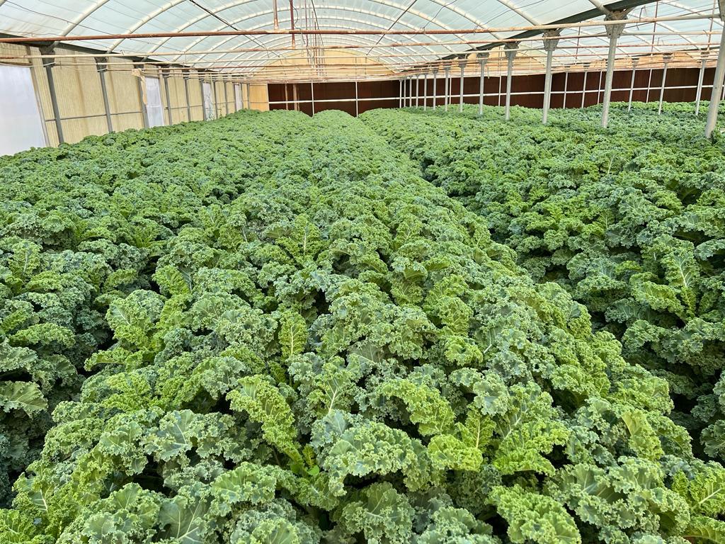 PHOTO-2024-08-07-22-05-09 2