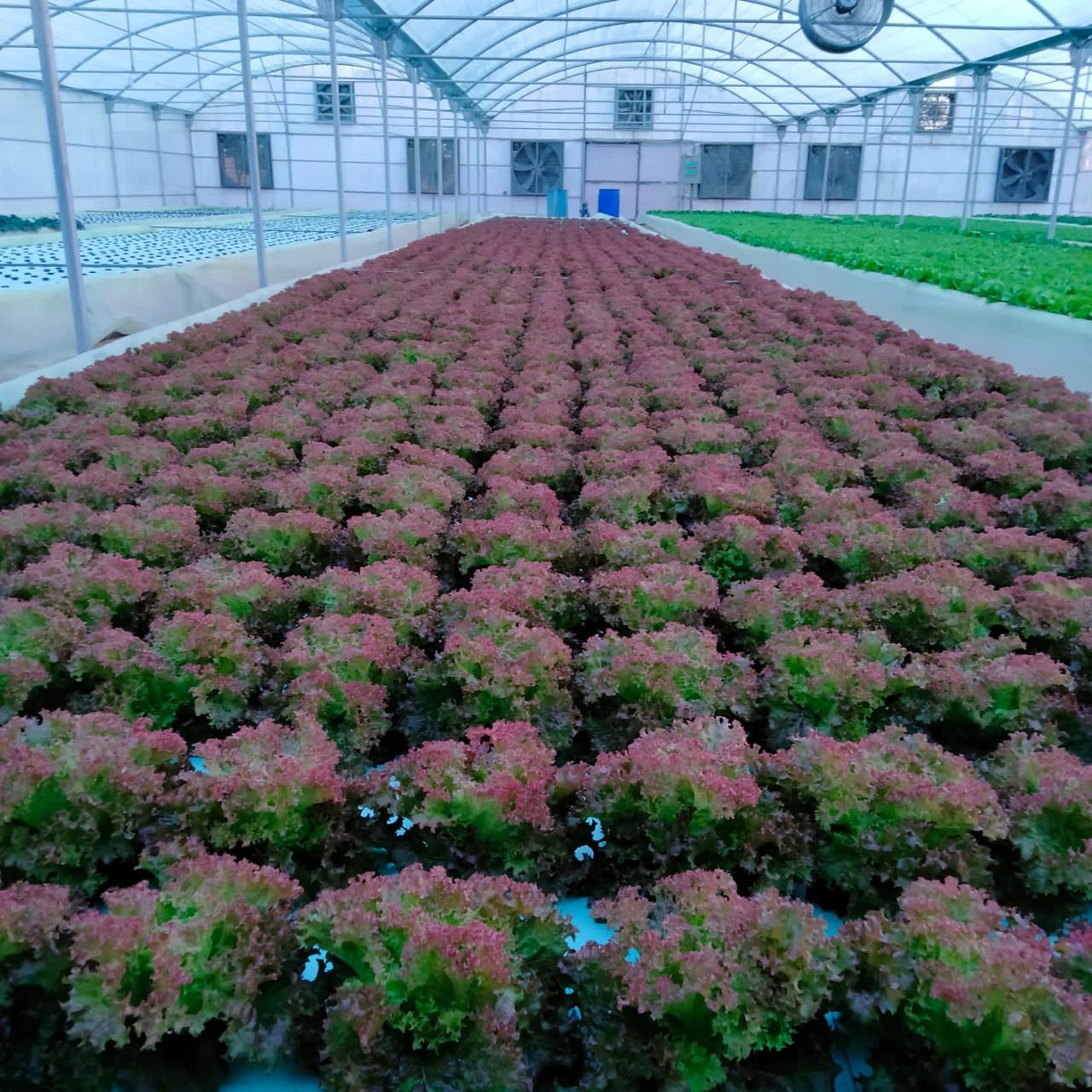 PHOTO-2024-08-07-22-05-09 5