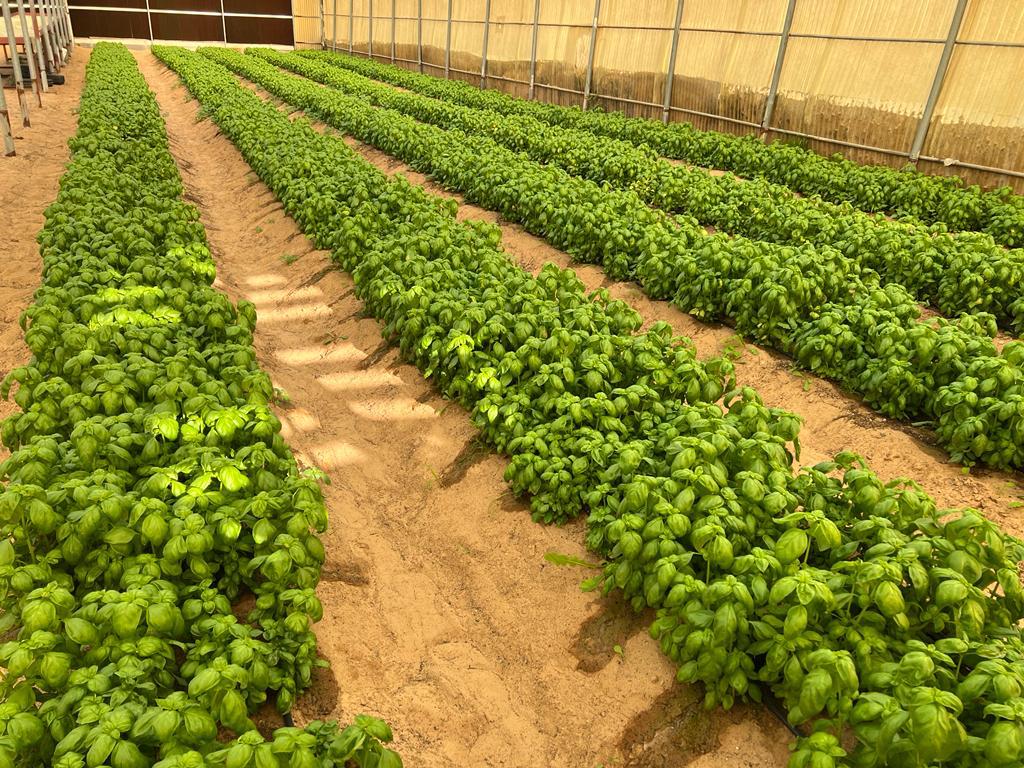 PHOTO-2024-08-07-22-05-09