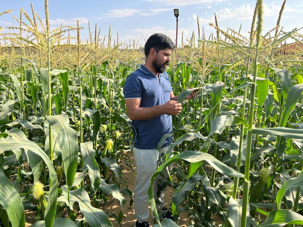 PHOTO-2024-08-07-22-19-51