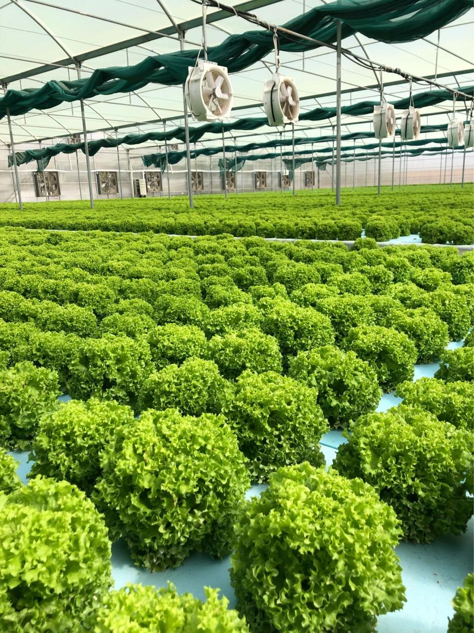 PHOTO-2024-08-07-22-25-43